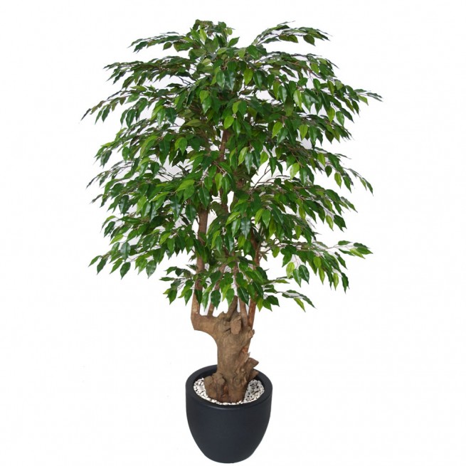Planta semi-artificiala Ila, Ficus Golden Malabar Lt. - 150 cm